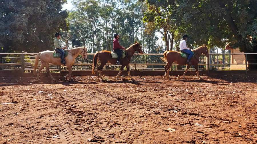 Momento do treinamento dos paratletas na Associação de Equoterapia Vassoural em Pontal/SP