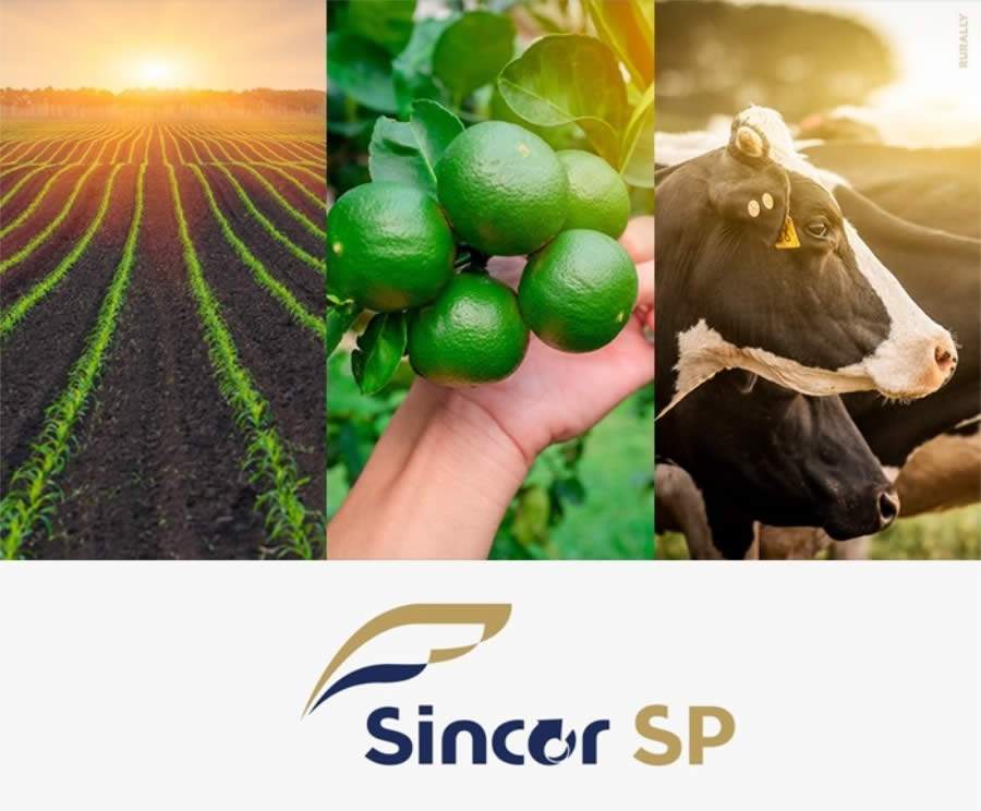 Atua&ccedil;&atilde;o do Sincor-SP ajuda a liberar recursos para agricultores no Estado