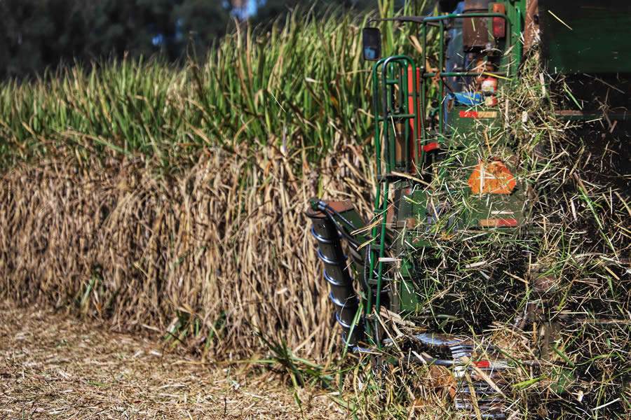 Foto: Jos&eacute; Fernando Ogura/AEN