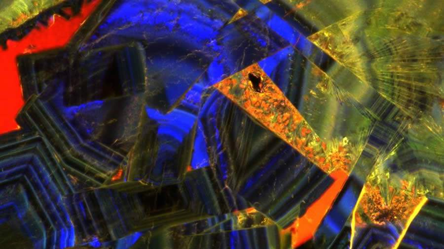 Mayo Clinic &amp; University of Illinois