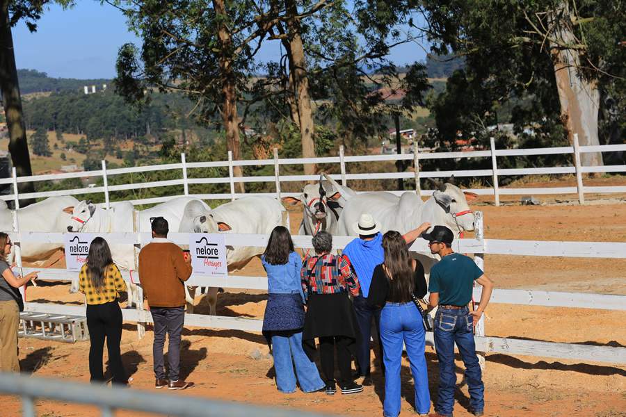 Crédito das fotos: Carlos Lopes.