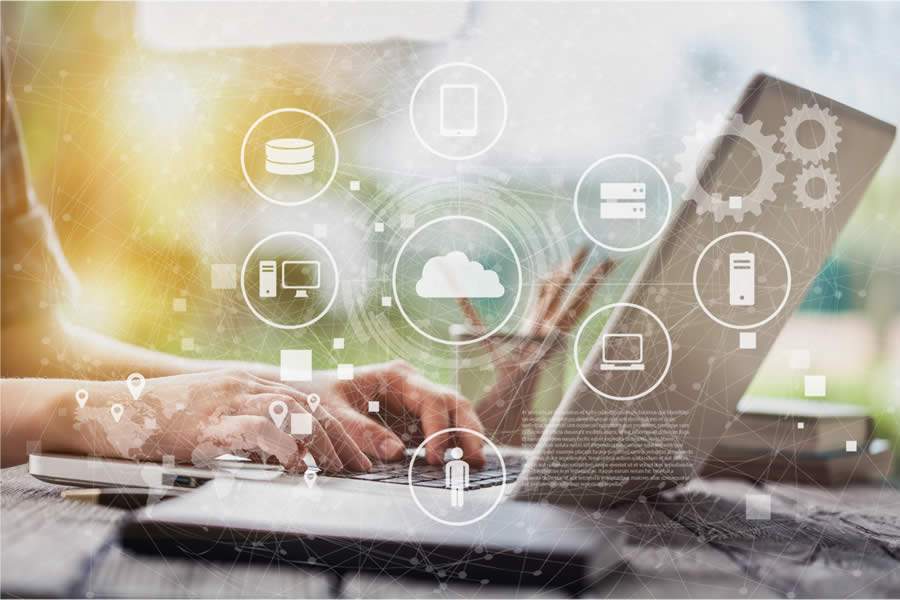 A importância do sell-in e sell-out no agro