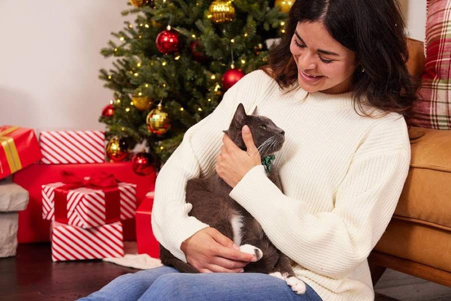 (Foto: Divulga&ccedil;&atilde;o/ROYAL CANIN&reg;)