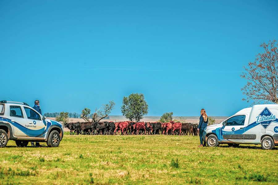 Ind&uacute;stria tem papel fundamental no extensionismo rural - Divulga&ccedil;&atilde;o Biog&eacute;nesis Bag&oacute; Brasil