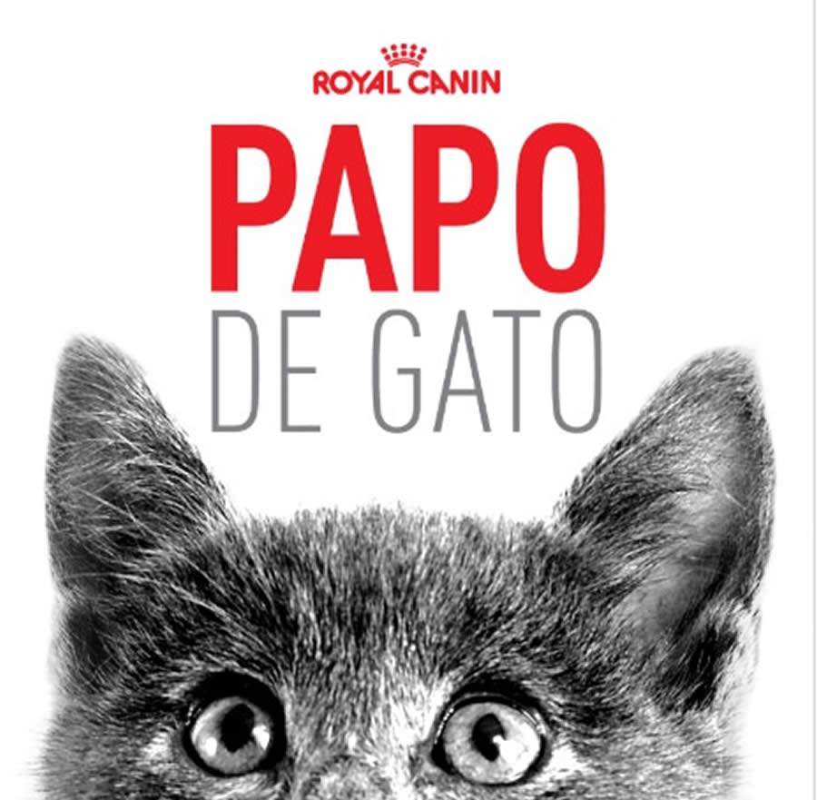 Dia Mundial do Gato: Royal Canin Lança Podcast Só Para Gateiros