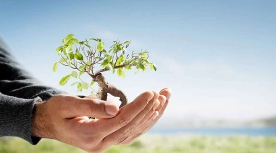 Sustentabilidade: N&atilde;o acontece porque n&atilde;o sabemos o que &eacute;!