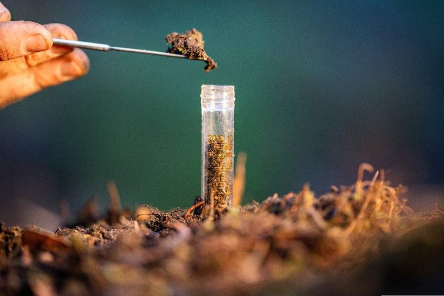 Cr&eacute;dito: Divulga&ccedil;&atilde;o