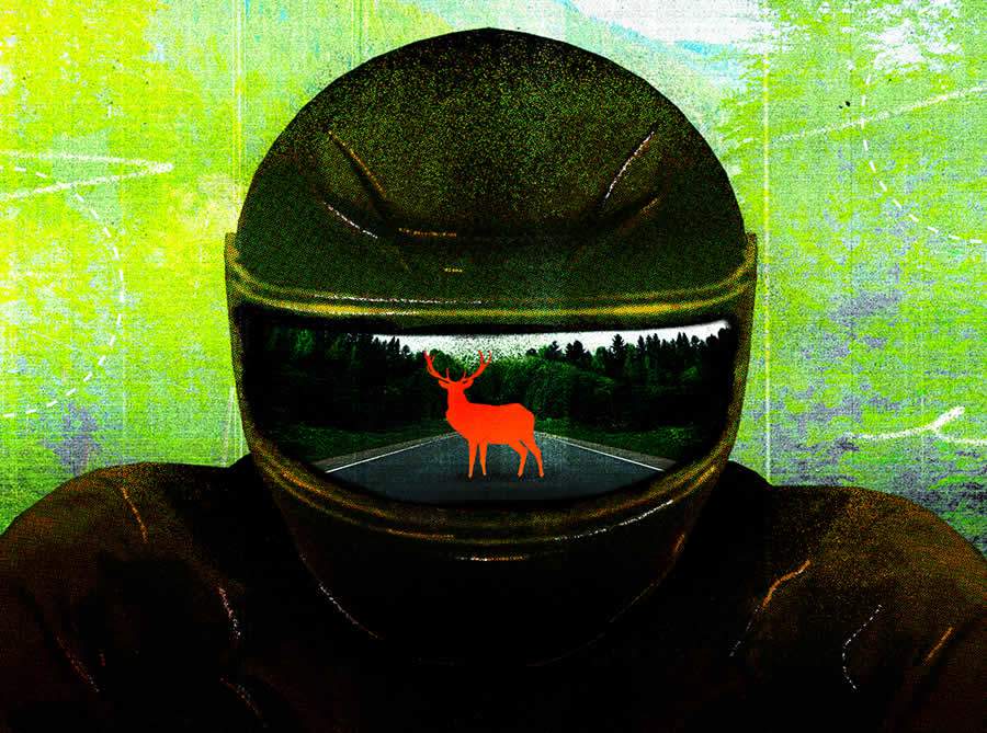 Harley-Davidson do Brasil compartilha importantes dicas de pilotagem - Harley-Davidson do Brasil/Divulga&ccedil;&atilde;o