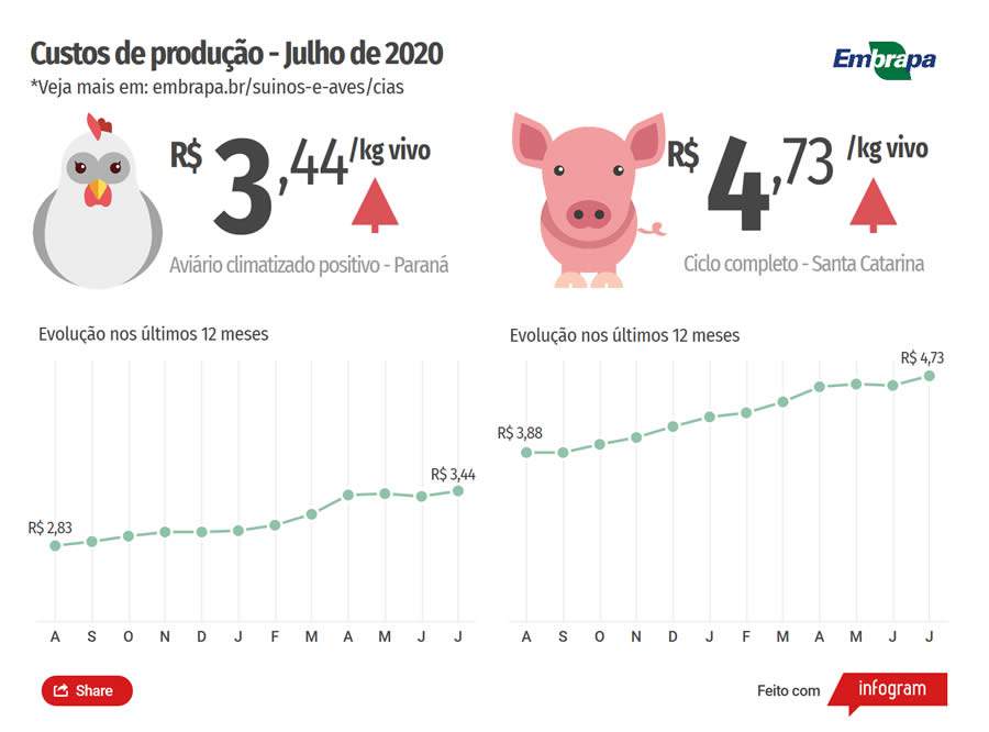Embrapa: Custos de produção de suínos sobem 10,93% em julho