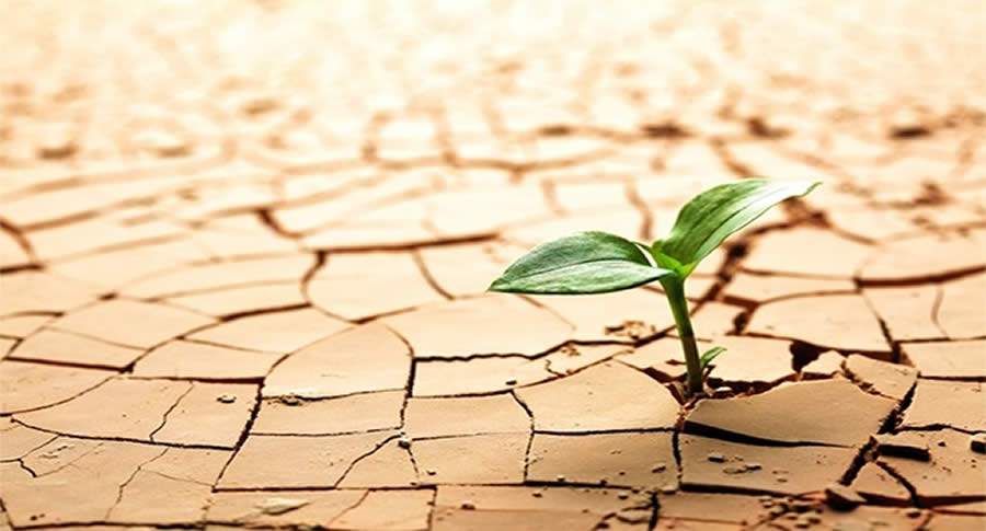 Como aprender a ser resiliente diante das adversidades da pandemia?