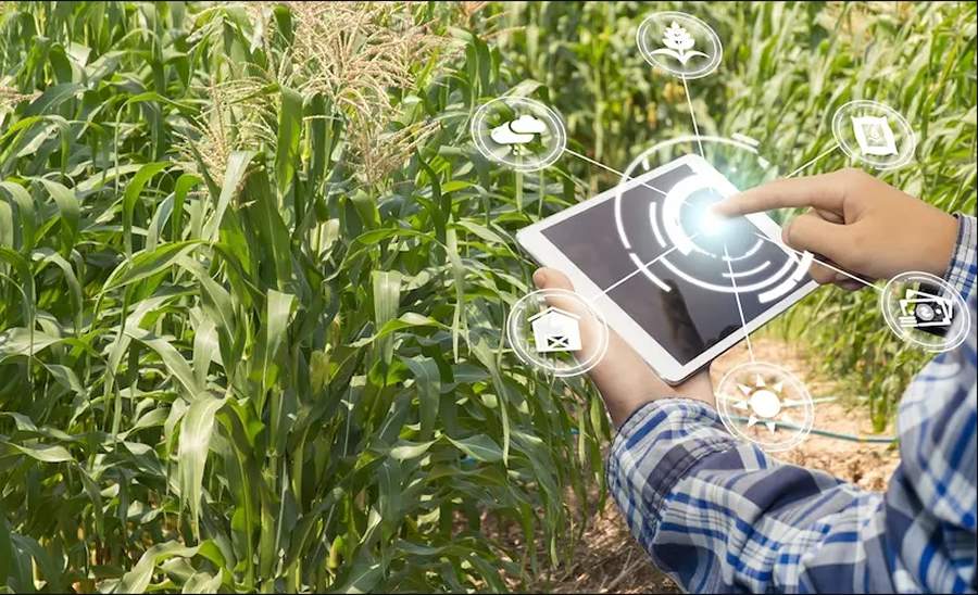 Tecnologia - Divulgação