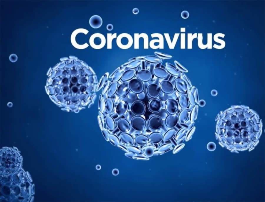 Coronavírus e o inadimplemento contratual das empresas nacionais: impactos jurídicos da pandemia COVID-19