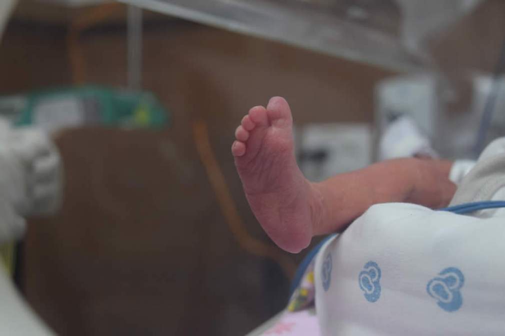 Novembro Roxo: Perinatal promove piquenique com pais de bebês prematuros