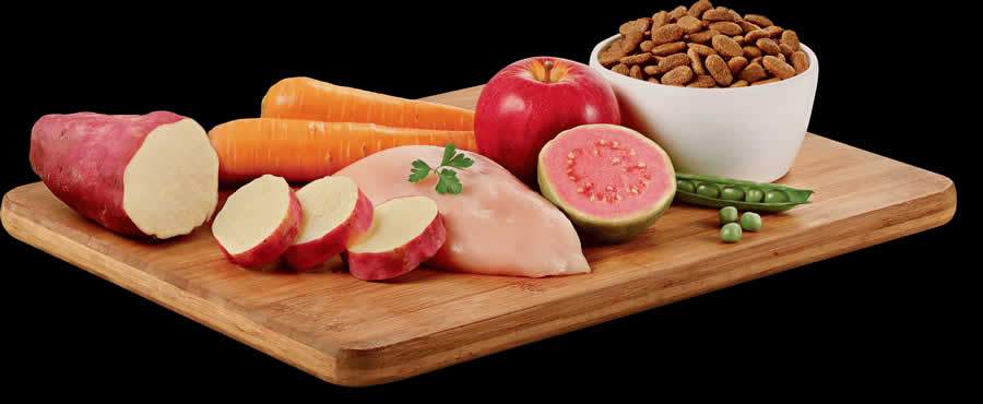 (Cr&eacute;dito: Divulga&ccedil;&atilde;o PremieRpet&reg;)