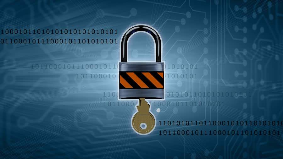 Procura por seguro cyber risk cresce com LDPD em vigor e os aumentos dos ataques cibernéticos nas empresas