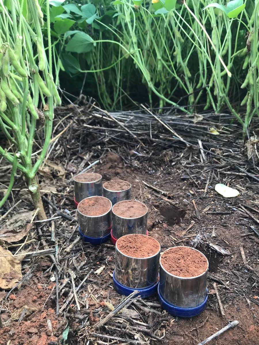 Dados foram coletados no início deste ano. Fonte: Divulgação/Sumitomo Chemical.