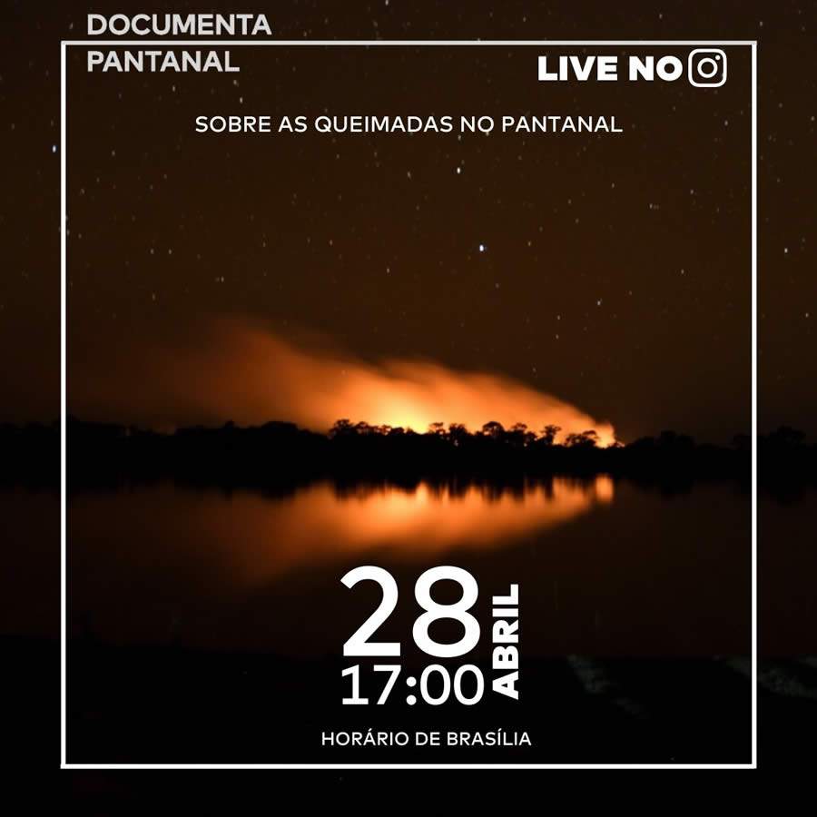 Documenta Pantanal Promove Live Nesta Terça, Dia 27, Para Discutir os Incêndios que Atingem a Região