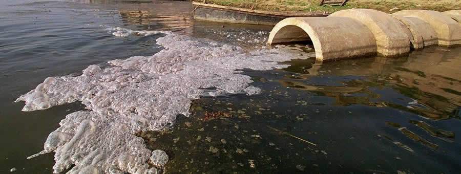 Óleo de cozinha no esgoto acaba com o meio ambiente e encarece água