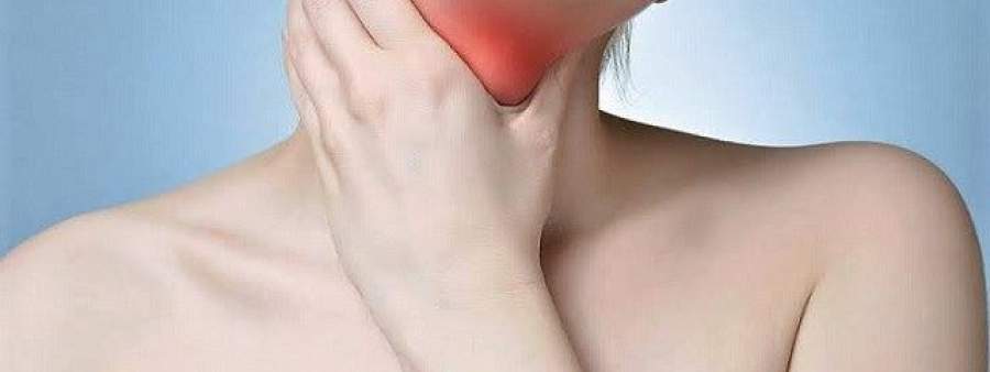  Tireóide, glândula localizada no pescoço regula o metabolismo Crédito: Divulgação