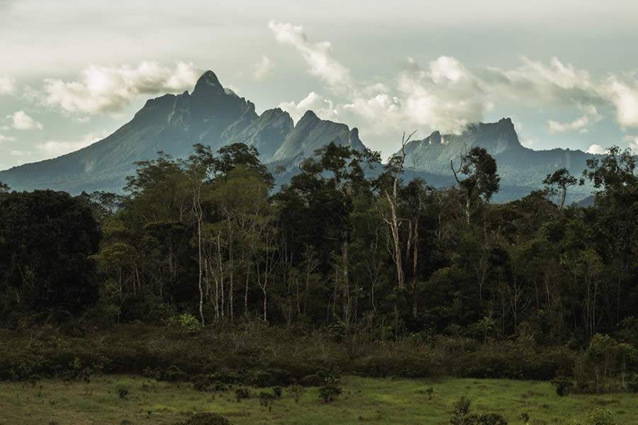 Pico da Neblina &eacute; destino a ser descoberto pelos aventureiros