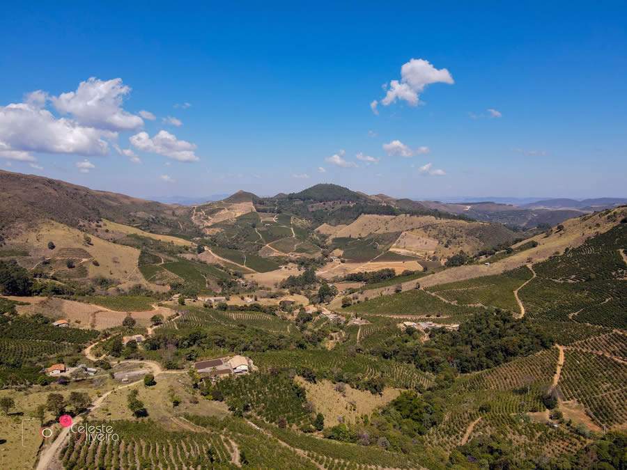 Crédito Celeste Oliveira