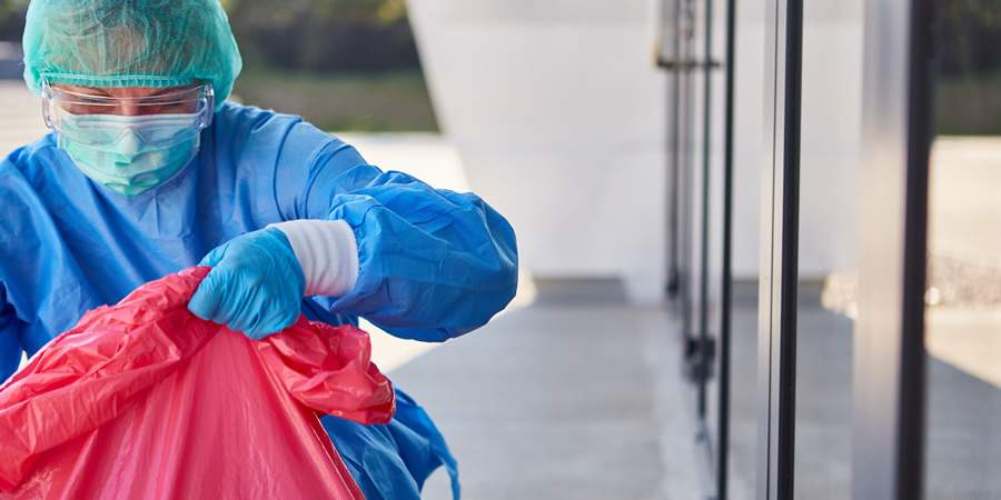 Foto: banco de imagens/Canva