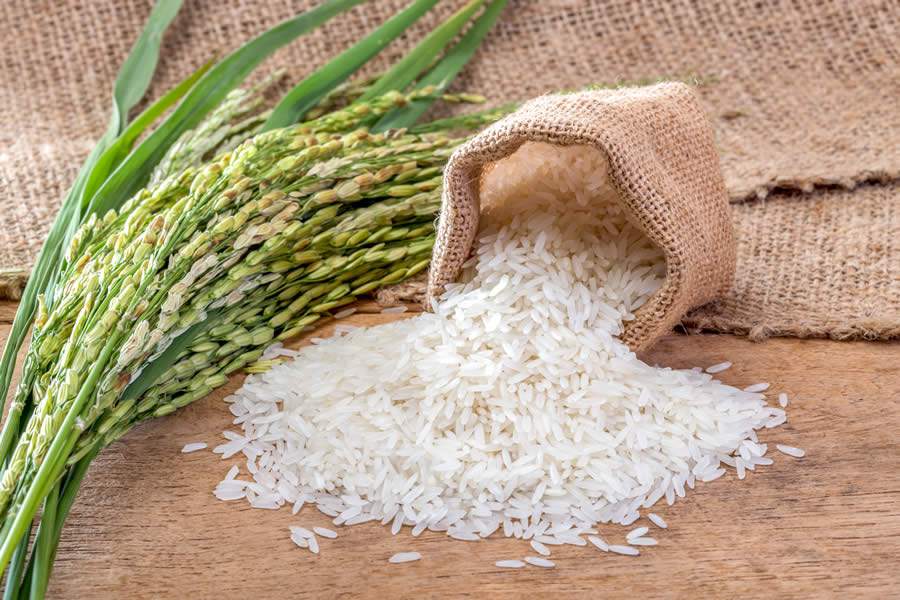 Sem cuidados, arroz custaria muito mais caro com a queda de produção