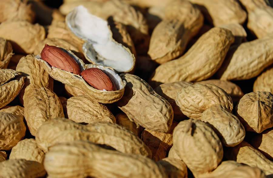 UPL leva soluções para tratamento de sementes à Feira Nacional do Amendoim