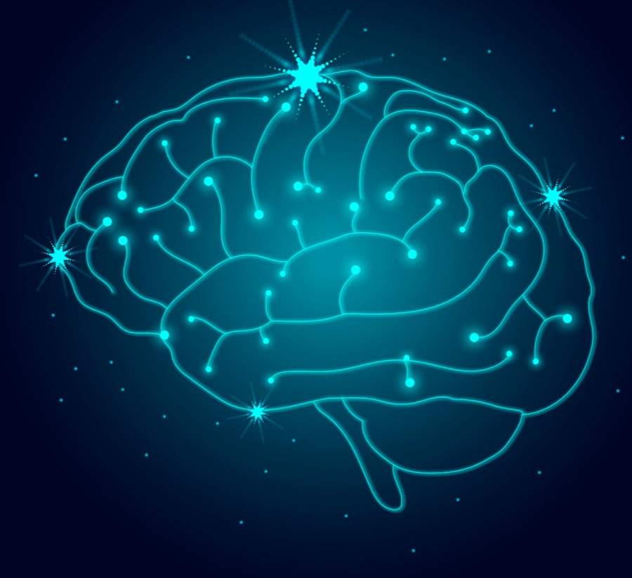 Cérebro - Freepik