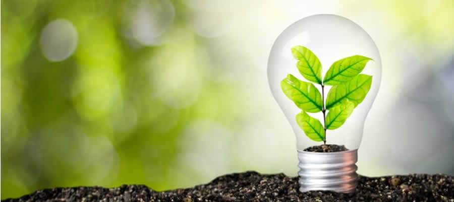 Foto: Divulga&ccedil;&atilde;o