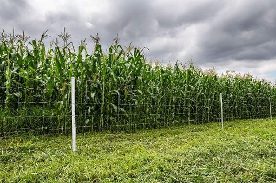 Cr&eacute;dito Divulga&ccedil;&atilde;o