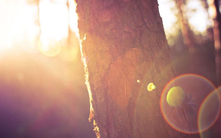 4 dicas para ser um líder positivo