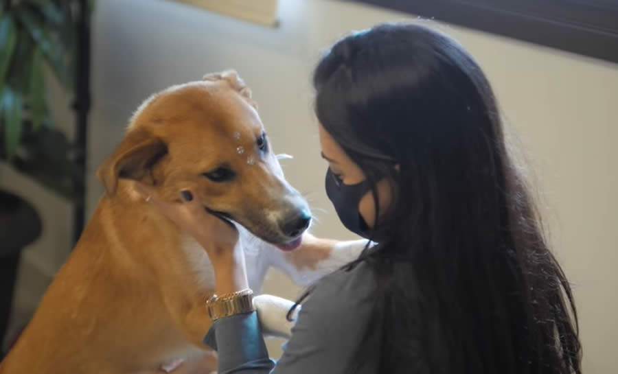 Nutrire inova em campanha com reuni&atilde;o entre tutores e pets