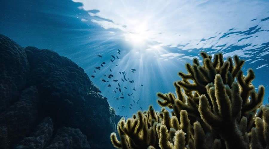 Blue Beauty: soluções para cuidados pessoais que protegem os oceanos