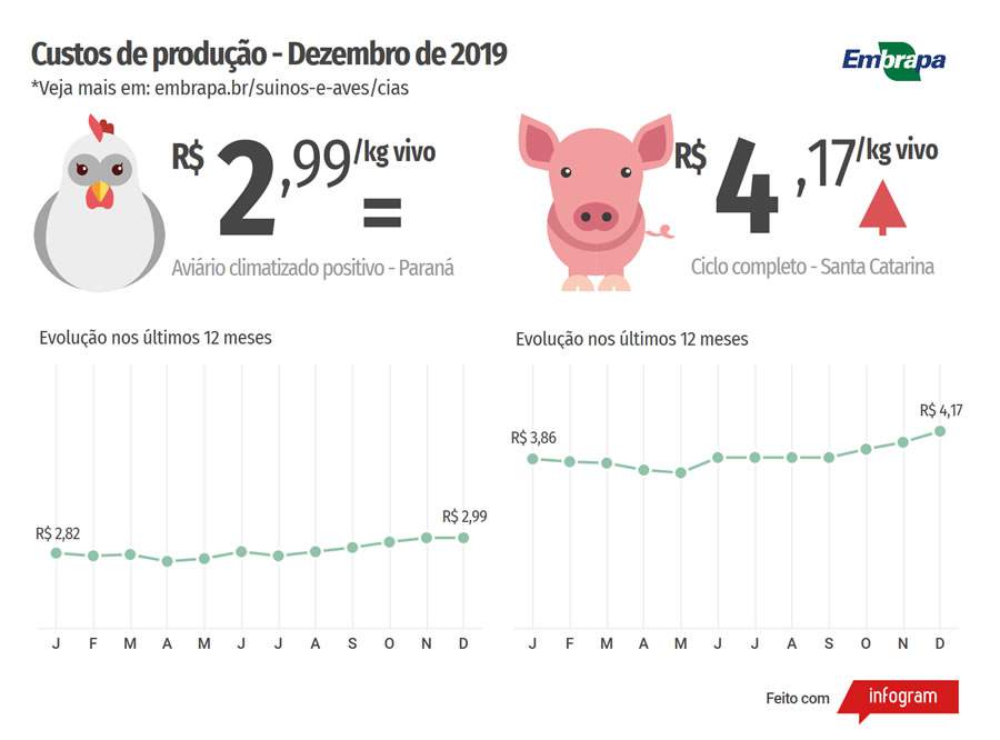 Custos de produção de suínos e de frangos de corte acumulam altas em 2019