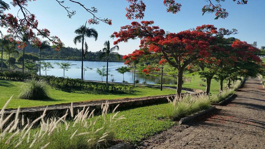 Camihadas ecol&oacute;gicas Lake Vilas - (Divulga&ccedil;&atilde;o)