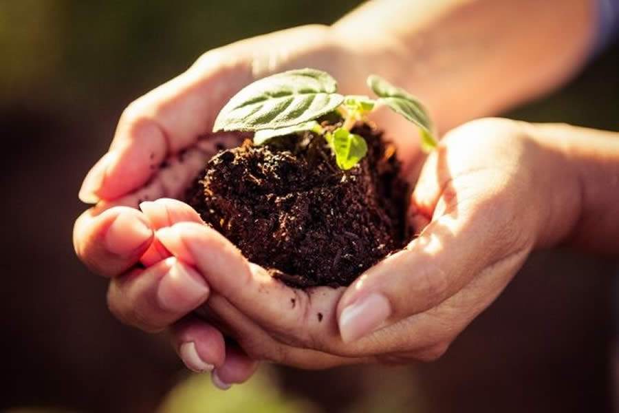 Reprodu&ccedil;&atilde;o: Adobe Stock