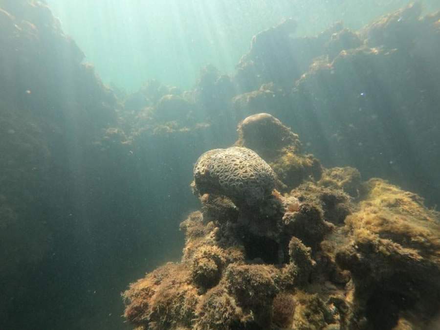 Imagem: Divulga&ccedil;&atilde;o