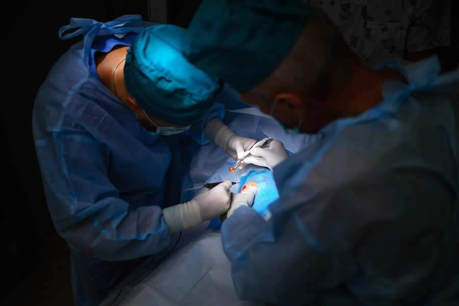 Fly_wish_depositphotos