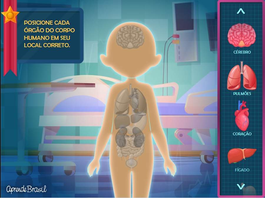 Jogo "Charadas do Corpo Humano" ensina localiza&ccedil;&atilde;o e fun&ccedil;&atilde;o dos &oacute;rg&atilde;os - Cr&eacute;ditos: Divulga&ccedil;&atilde;o