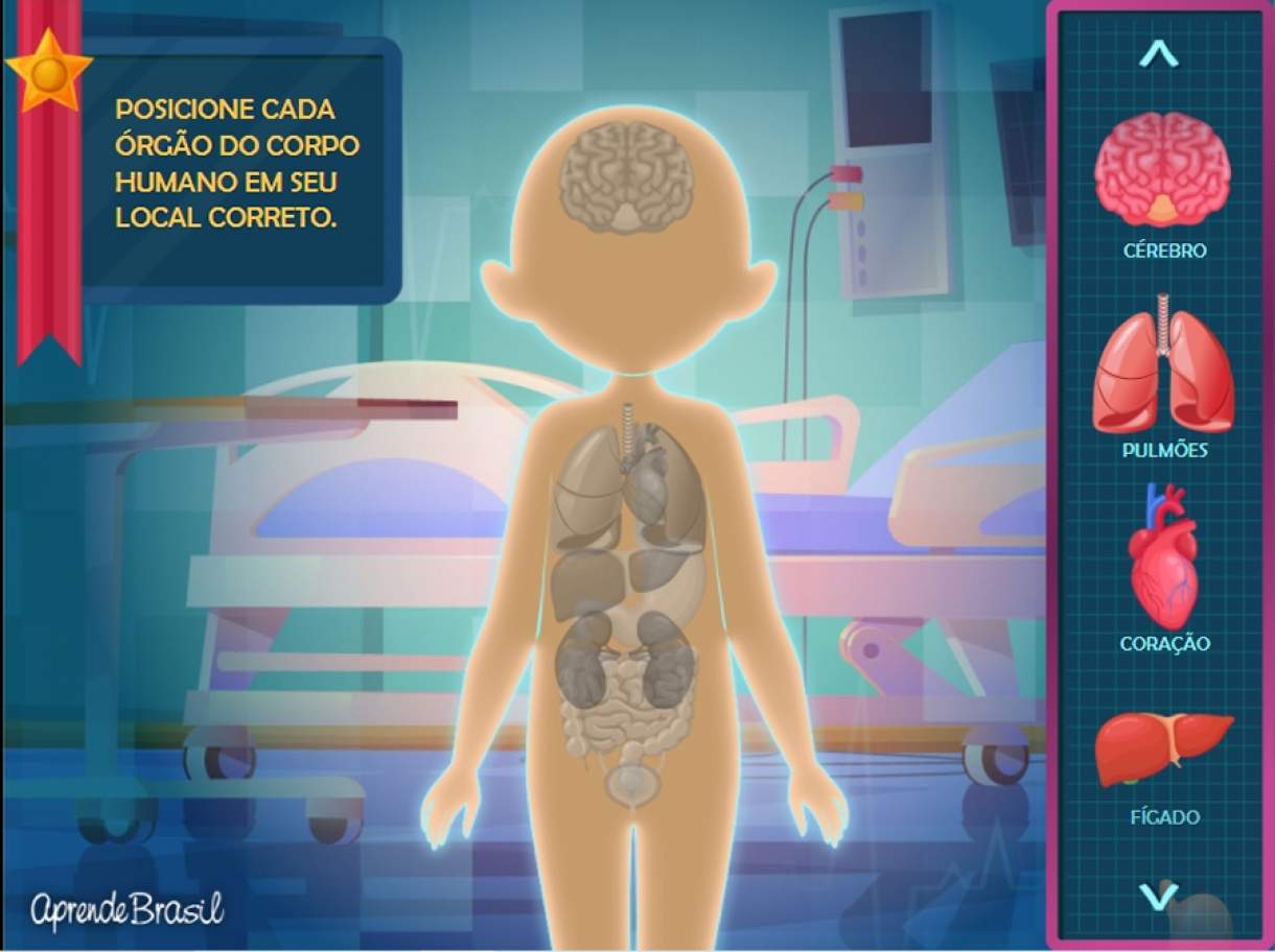 Educa Borras - Jogo educativo: Aprende sobre o corpo humano ㅤ, Jogos  educativos