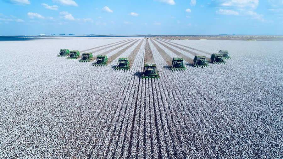“Reduzir impactos ambientais nas lavouras é uma medida indispensável às empresas conectadas com o futuro”, afirma Kriss Corso. - Crédito foto: Divulgação Grupo JCN