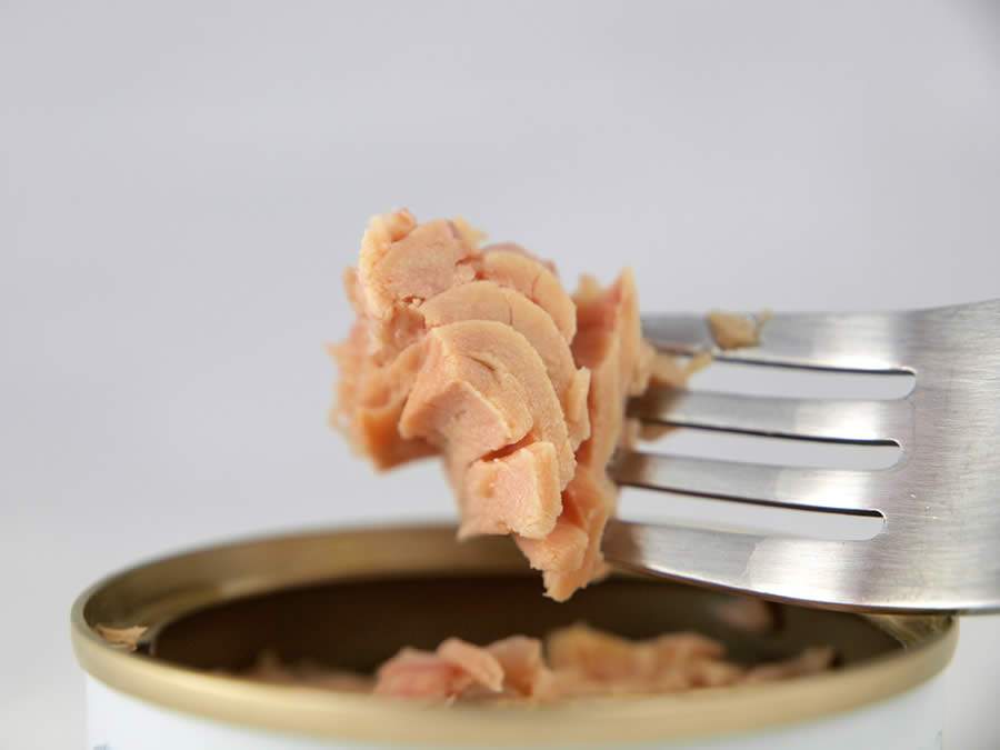 O peixe, quando conservado em óleo de soja ou em azeite na lata, não tem seus nutrientes dissipados, já que o processo de preparação do alimento enlatado é diferenciado - Divulgação