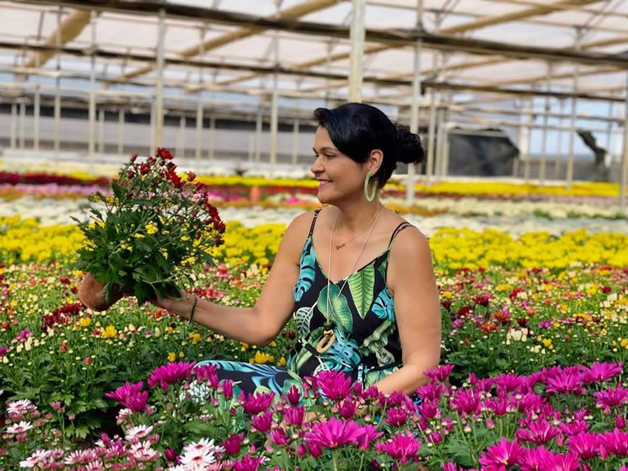 Ana Paula Lino - Marcos V. F. Pinto