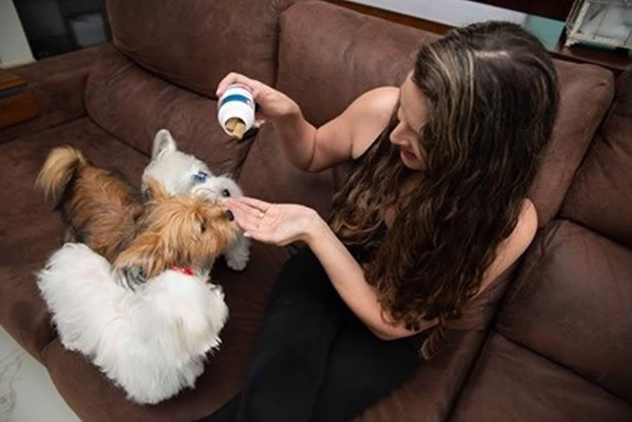 Voc&ecirc; sabia? Pets filhotes exigem cuidados extras