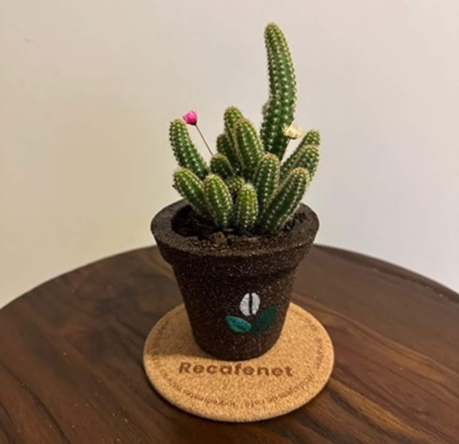 Cr&eacute;dito: Divulga&ccedil;&atilde;o