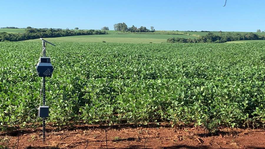 Crédito: Divulgação