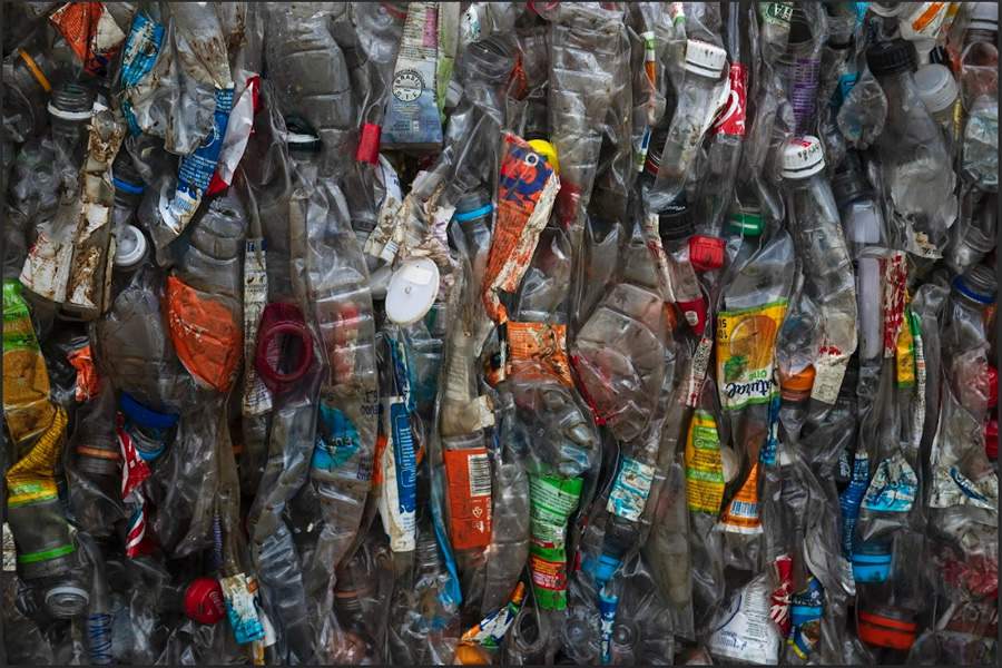 Cr&eacute;ditos divulga&ccedil;&atilde;o. Fotos tiradas na cooperativa Viva Bem.