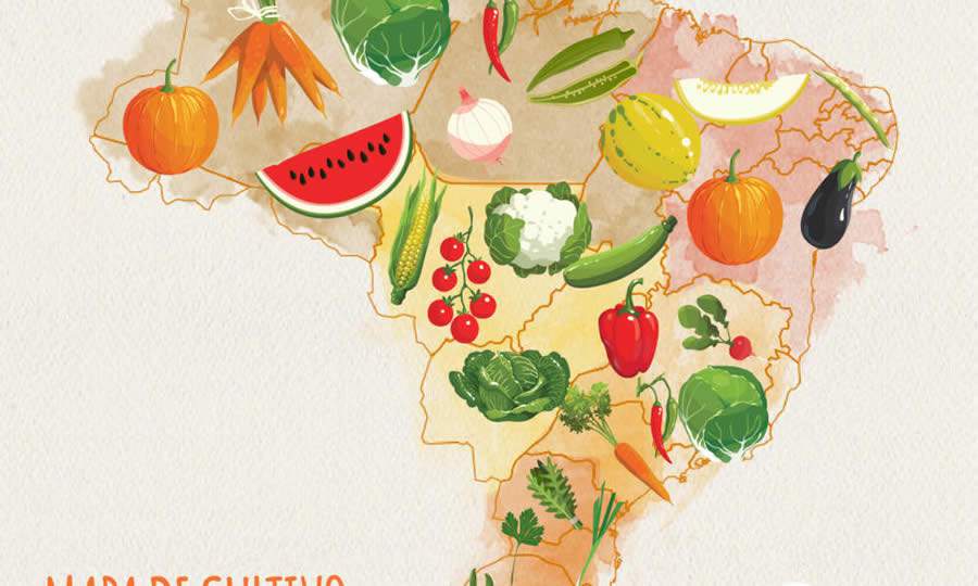 Veja o que plantar na sua regi&atilde;o durante o ver&atilde;o