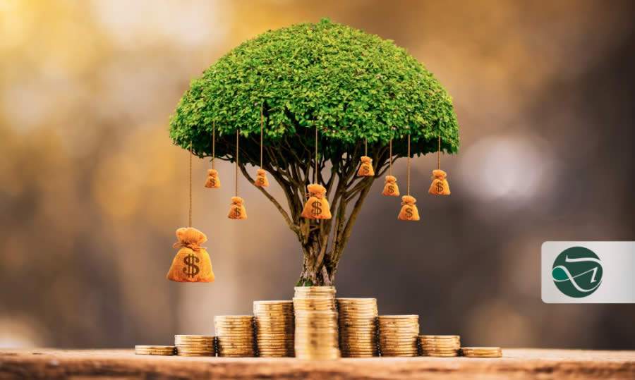 Brasileiros nos EUA: entenda como funciona a aposentadoria